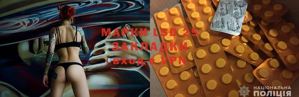apvp Лиски