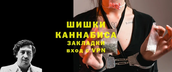 крисы Лагань
