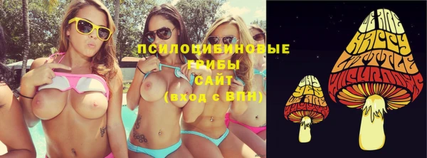 крисы Лагань