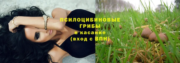крисы Лагань