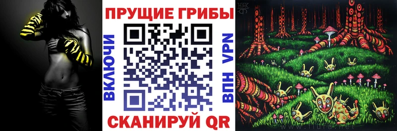 Псилоцибиновые грибы Magic Shrooms  Купить  Петухово 
